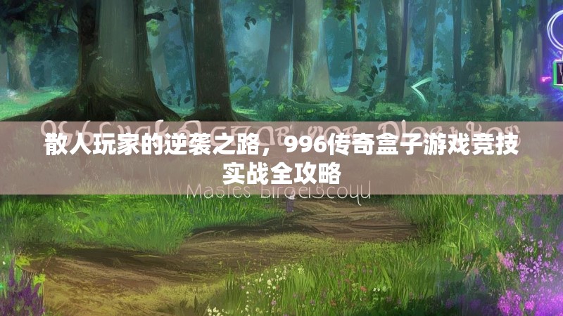 散人玩家的逆袭之路，996传奇盒子游戏竞技实战全攻略