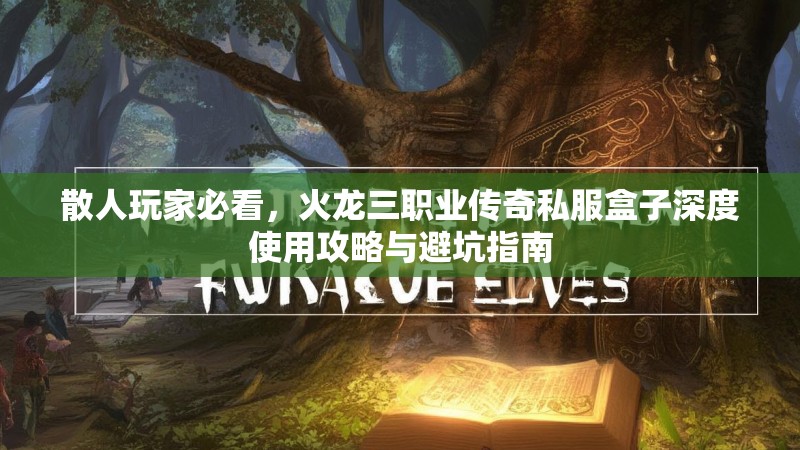 散人玩家必看，火龙三职业传奇私服盒子深度使用攻略与避坑指南