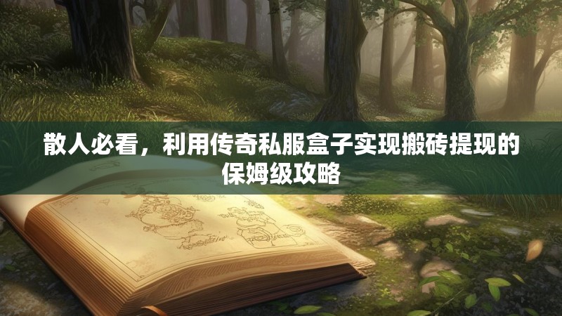 散人必看，利用传奇私服盒子实现搬砖提现的保姆级攻略