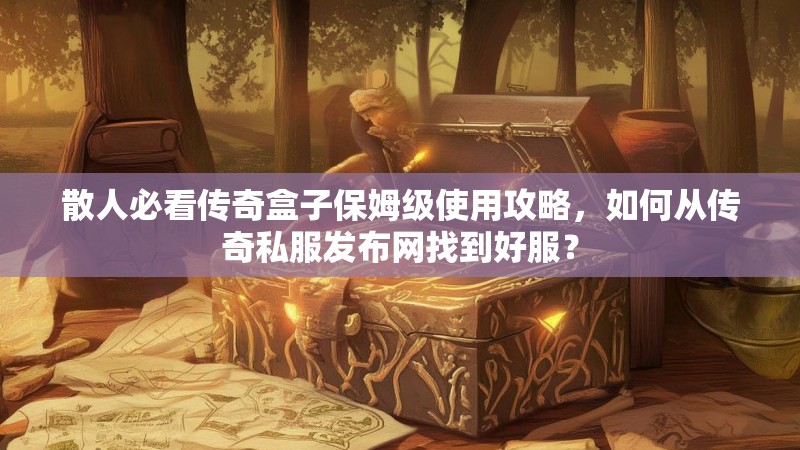 散人必看传奇盒子保姆级使用攻略，如何从传奇私服发布网找到好服？