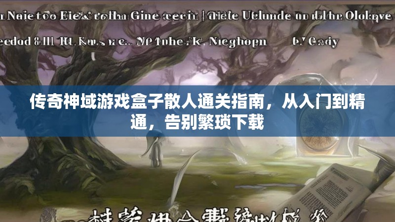 传奇神域游戏盒子散人通关指南，从入门到精通，告别繁琐下载