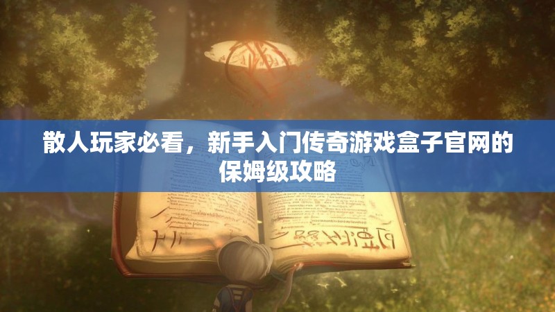 散人玩家必看，新手入门传奇游戏盒子官网的保姆级攻略
