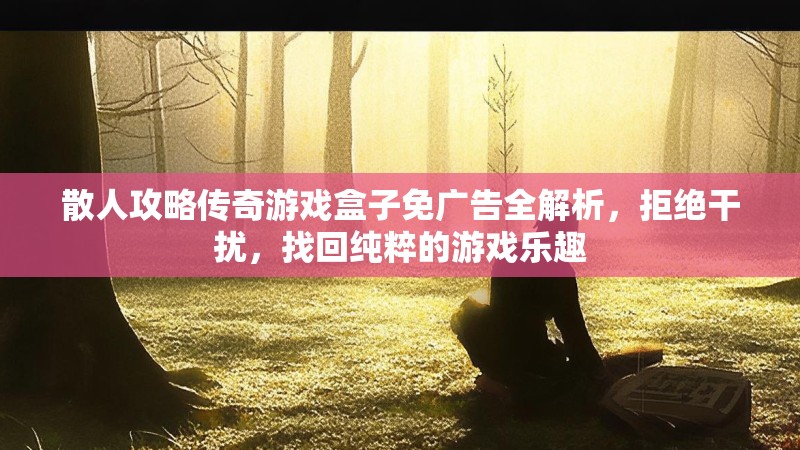 散人攻略传奇游戏盒子免广告全解析，拒绝干扰，找回纯粹的游戏乐趣