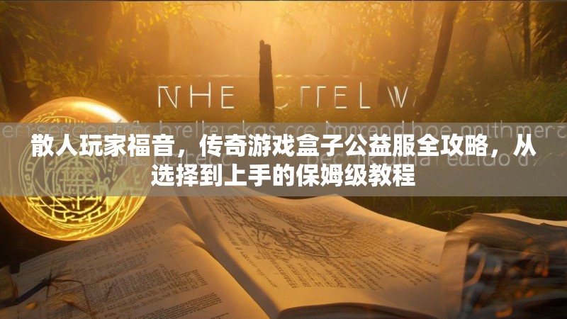 散人玩家福音，传奇游戏盒子公益服全攻略，从选择到上手的保姆级教程