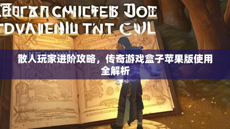 散人玩家进阶攻略，传奇游戏盒子苹果版使用全解析