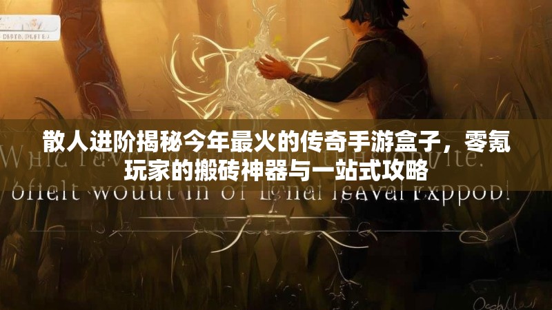 散人进阶揭秘今年最火的传奇手游盒子，零氪玩家的搬砖神器与一站式攻略