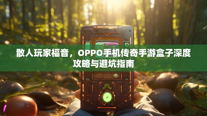 散人玩家福音，OPPO手机传奇手游盒子深度攻略与避坑指南