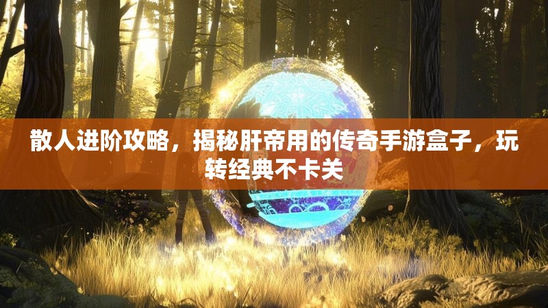 散人进阶攻略，揭秘肝帝用的传奇手游盒子，玩转经典不卡关