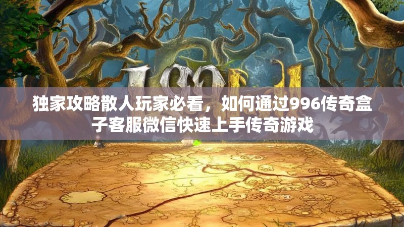 独家攻略散人玩家必看，如何通过996传奇盒子客服微信快速上手传奇游戏